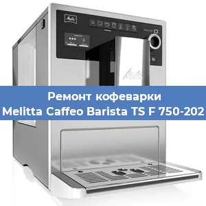 Чистка кофемашины Melitta Caffeo Barista TS F 750-202 от кофейных масел в Москве